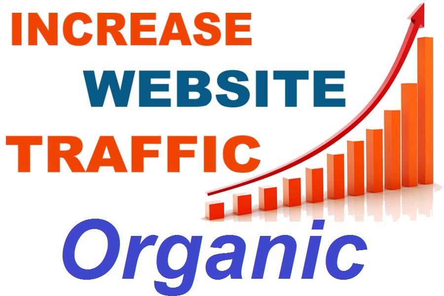 34618I will supply organic USA traffic to your website