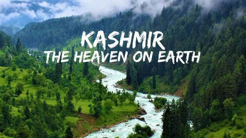 35410I will be your guide in exploring Kashmir