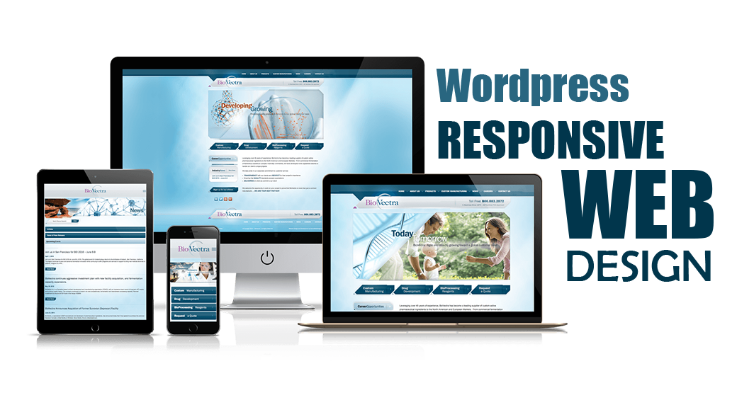 35853I will build an attractive wordpress website design