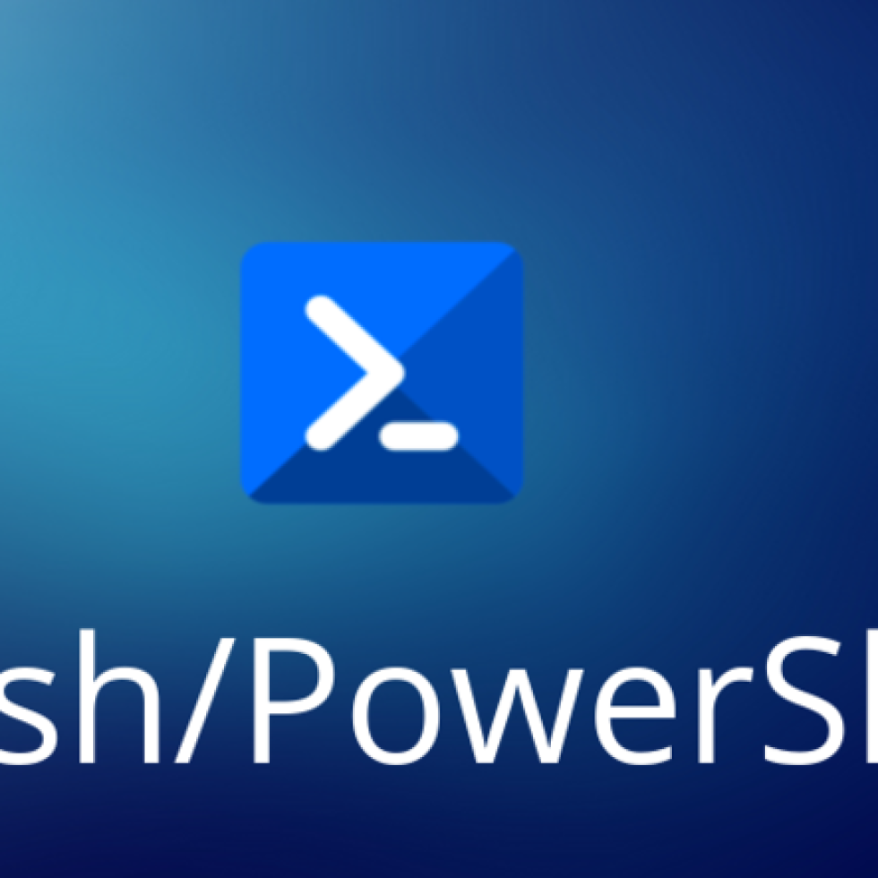 38519I will write any script in pro bash, batch, and powershell