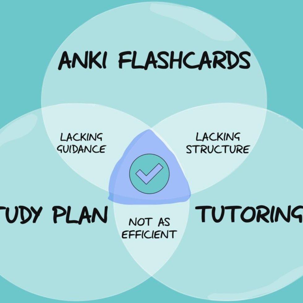 39085I will make powerful intelligent anki flashcards fast