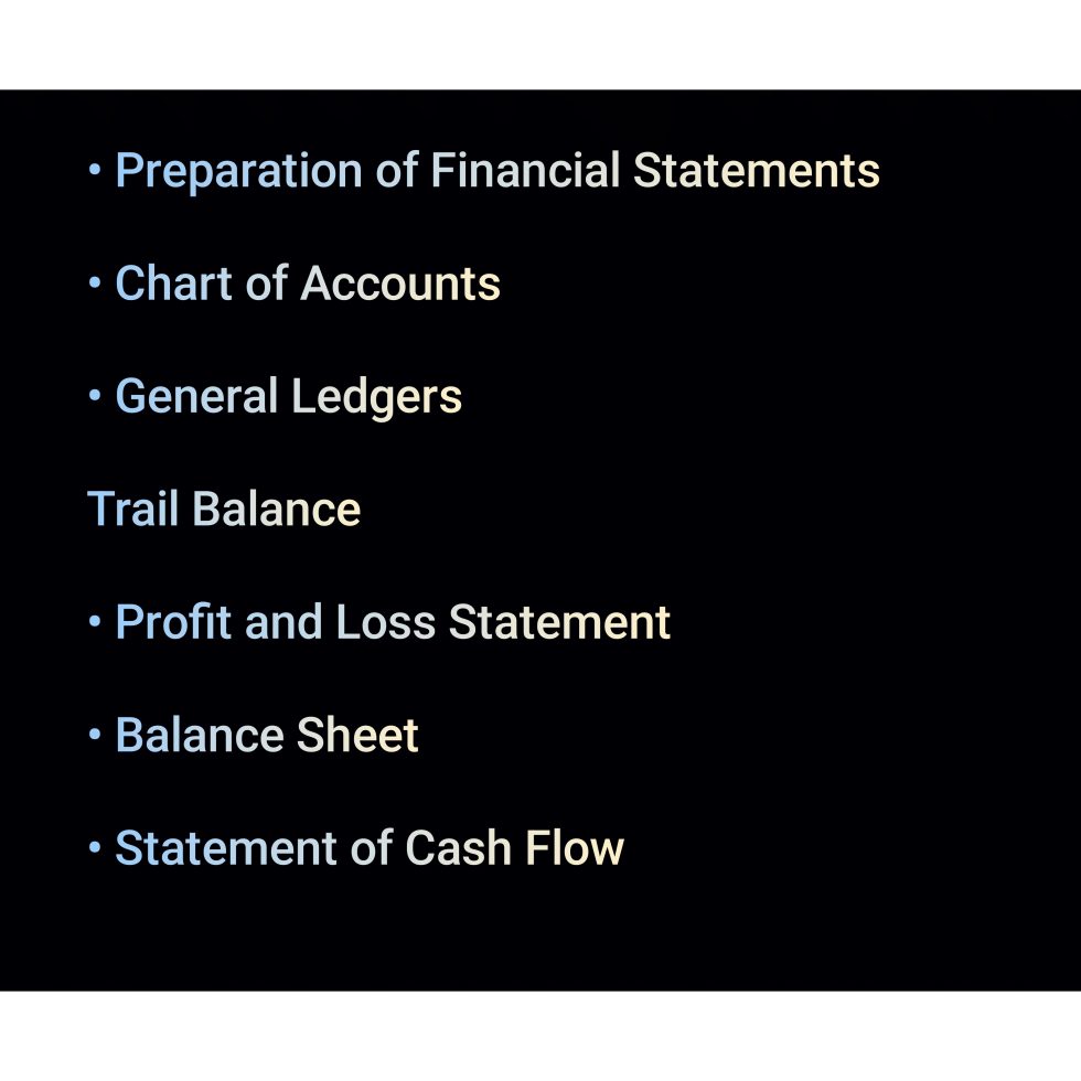 40035I'll create the profit and loss statement, balance sheet, trail balance, and gen