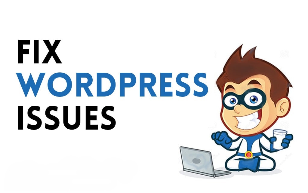 40618I'll resolve woocommerce problems and WordPress issues.